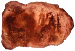шкура