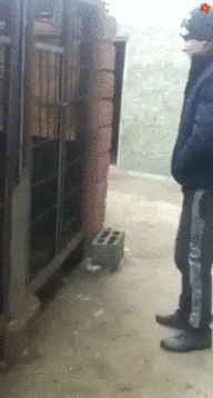 51052709d5b1aca241f4fed47f3