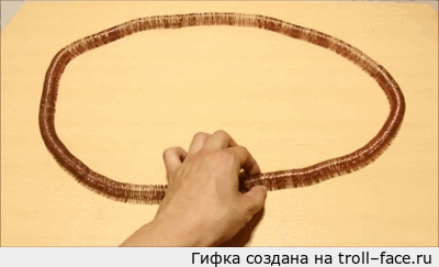 и муха2