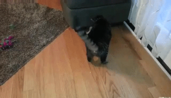 from-the-depths-of-hell--i-wil