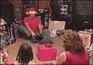 собака и тапки