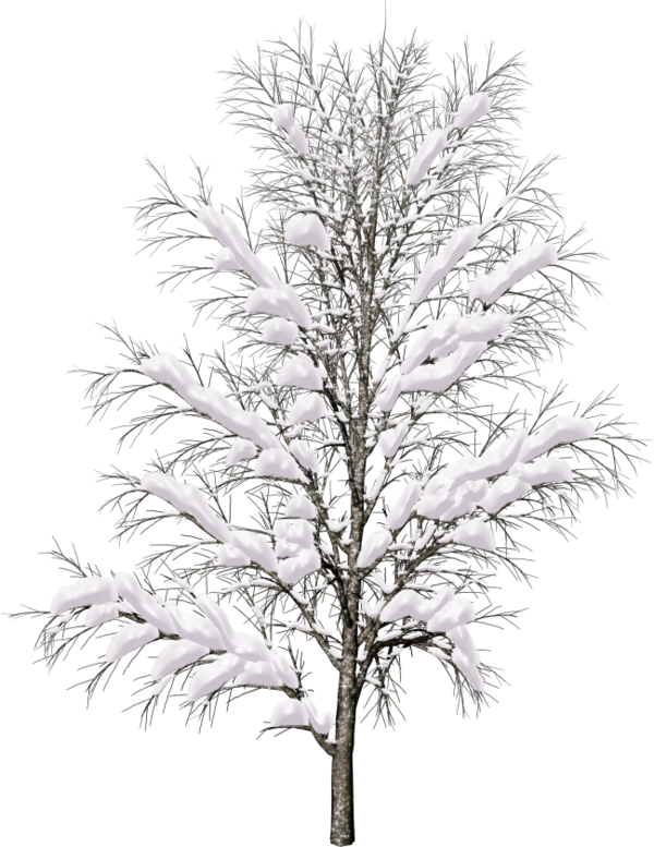 DeeDee85Tree_Plants_full_3212_266718