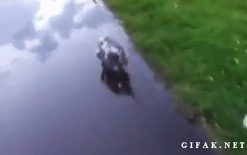 tumblr_mwhbhk5ON41s45aodo1_400