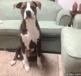 gifs_05
