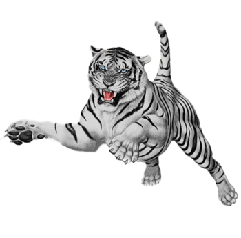 WhiteTiger