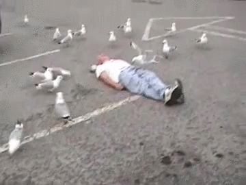 58845406180097_09mos