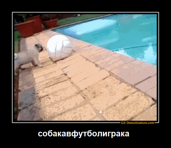 298bc048c8228fc2c1950e9de229d376