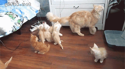 tumblr_n03k35pS3c1s2yegdo1_400