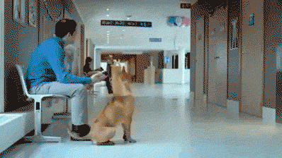 2d9d7df8e6182b2d00536621f7e