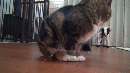 d28696717eed72523ef2d122f2d