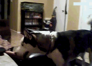 2c79b828b537065760cf80e83bf