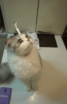 -гифки-наклейка-месть-будет-страшна-2676376