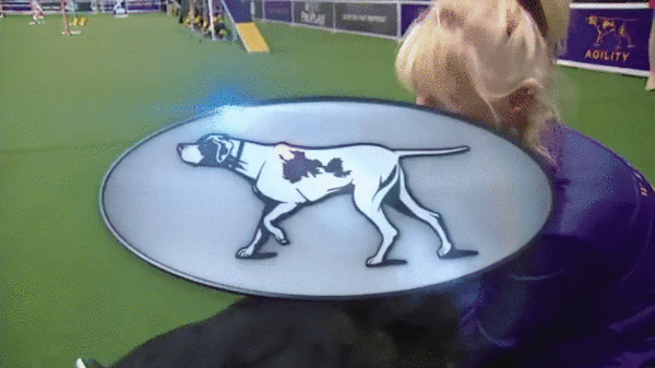 -змеепес-Чемпион-2665172