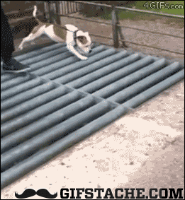 8cec8a7e9ebcc7dff83addfdb5d