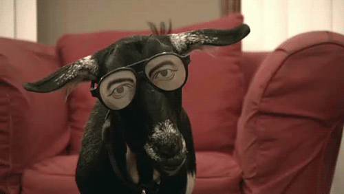 tumblr_mo1k0ril911r06m1wo1_500