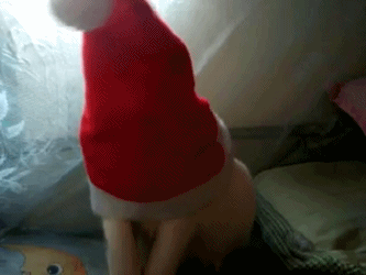 кот в шляпе