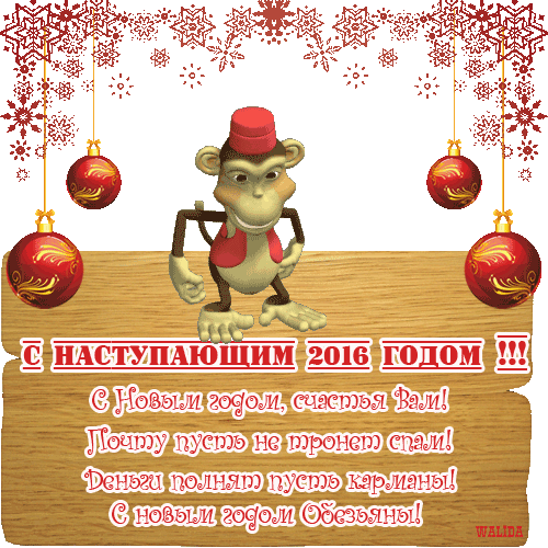 C годом Обезьяны!