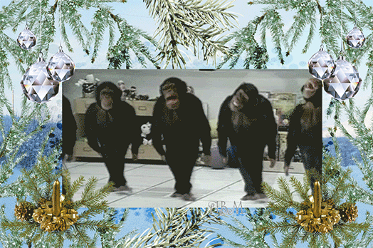 2016г-обезьяна