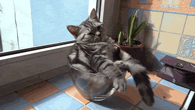 gifs_06