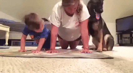 -собакен-овчарка-живность-2720001