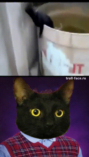 53720746465764_bednyiy-kotik-b6a2au