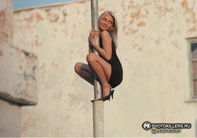 19674759766583_bear-kino