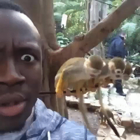 00682sTSgw1ezmeym6v6og30dc0dcnpm