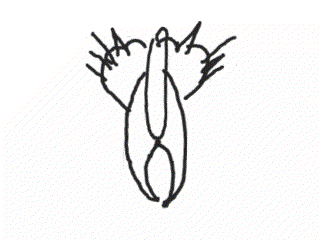 2240506_yapfiles.ru
