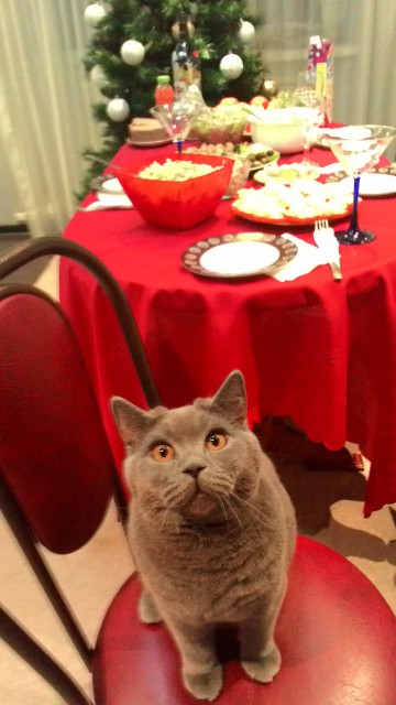 P_20150112_180213_yapfiles.ru