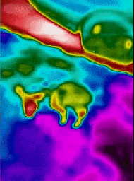 -песочница-тепловизор-не-зря-купил-1465653