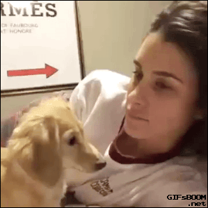 92181331954048_71a531_orig_