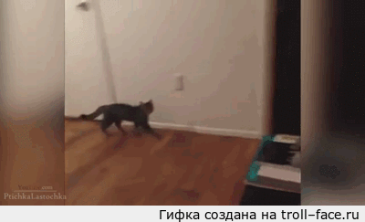 1401954591_714836947