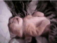 c9faef3da36e95957e3a64e3837aa4ff