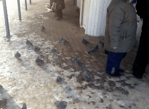 71559175887875_15-gif-2