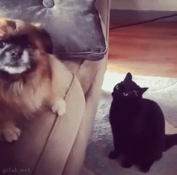 tumblr_o04q3dTPaS1ukldkho1_400