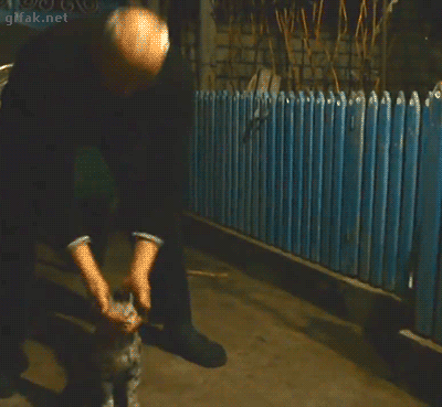 tumblr_o00rh6Dc8t1ukldkho1_400