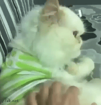 tumblr_nzk7ne24dQ1ukldkho1_400