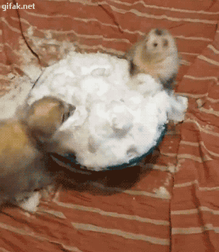 tumblr_ny7oiaSowb1ukldkho1_400