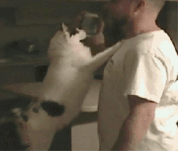 43947028919024_1452078698_07