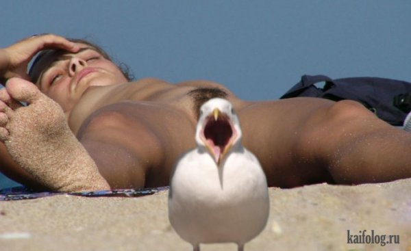 1443372739_1441359141_101