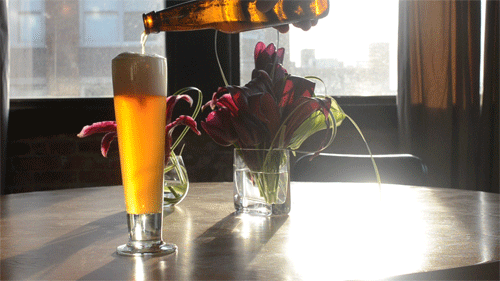 giphybeer6