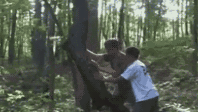 tumblr_nz6lb1i0aM1ukldkho2_400