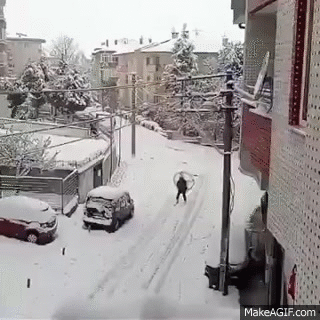 gifs_13 (2)