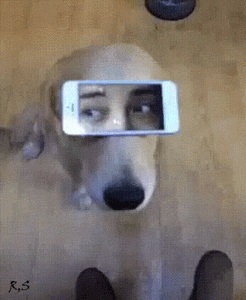 tumblr_nzjbwkzXUJ1tpmgf1o1_400