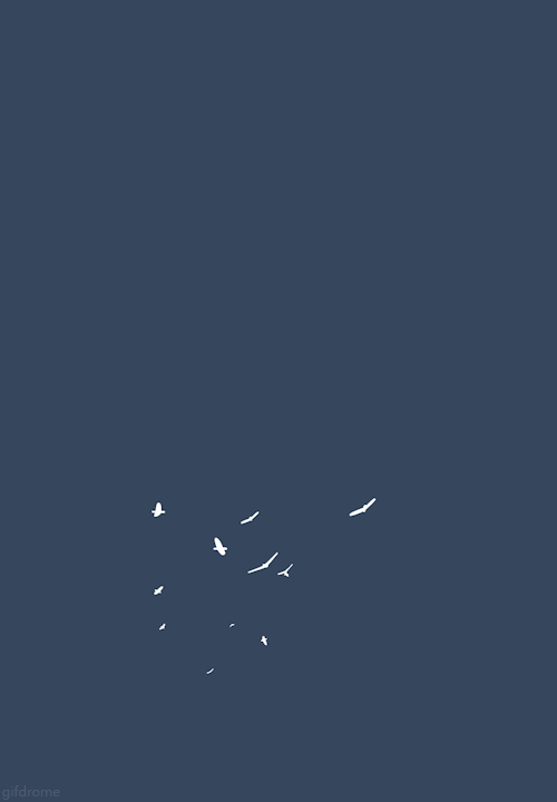 tumblr_ngeb13jMJW1s2xab7o1_500
