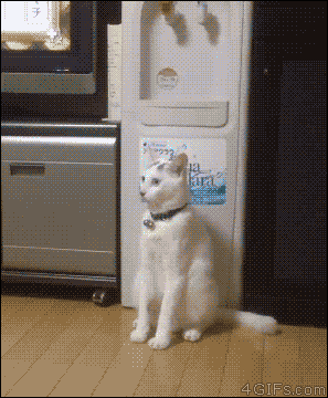 _tancuet_yapfiles.ru_yapfiles.ru