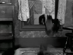 bloggif_56a70fd367390