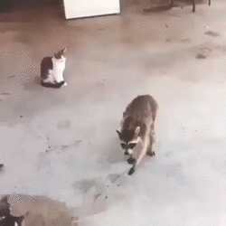 bloggif_56a70f8ccb918