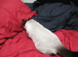 bloggif_56a70f036439d