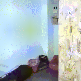aOVb3RE_460sv
